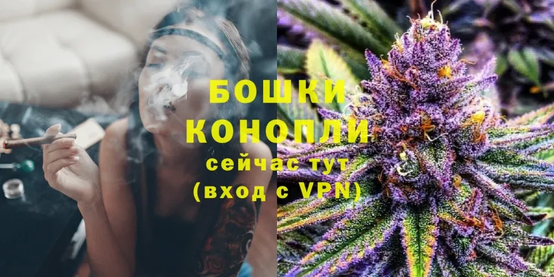 закладка  Ветлуга  Шишки марихуана VHQ 